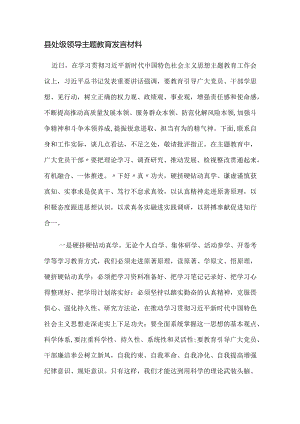 县处级领导主题教育发言材料.docx