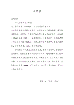 对外签字承诺函模板.docx