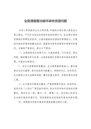 全面清查整治破坏森林资源问题.docx