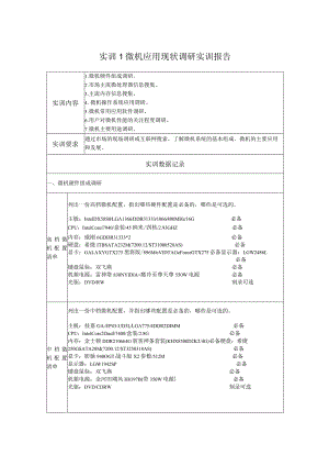 实训1_微机应用现状调研实训报告.docx