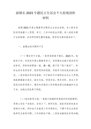 副镇长2023专题民主生活会个人检视剖析材料.docx