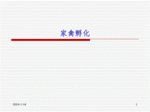 家禽孵化.ppt