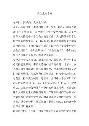 安全 生命 幸福 演讲稿.docx