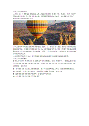土耳其公司注册简介.docx