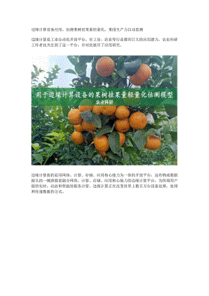 估测果树挂果量轻量化研究进展.docx