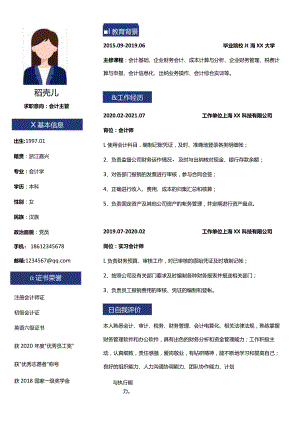 会计主管个人简历.docx