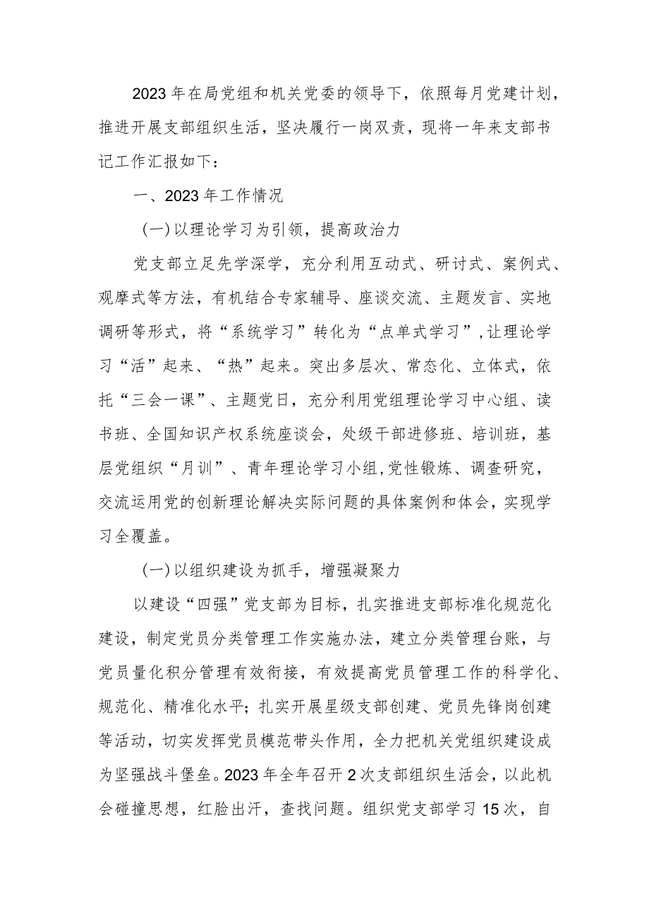 党支部书记2023年度抓基层党建工作述职报告.docx_第1页