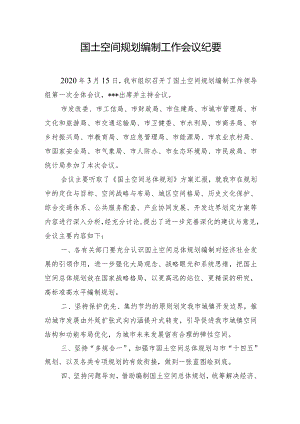 国土空间规划编制工作会议纪要.docx