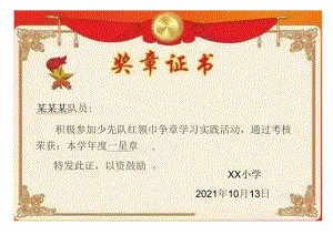 小学少先队红领巾星级奖章证书模板.docx