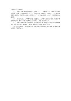 团支部安全生产责任制工程文档范本.docx