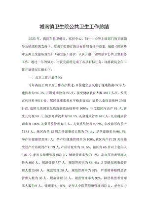 城南镇卫生院公共卫生工作总结.docx