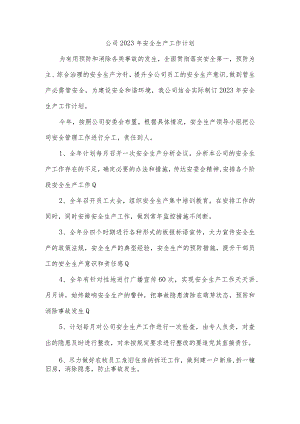 公司2023年安全生产工作计划.docx