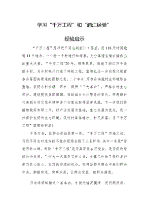 学习“千万工程”和“浦江经验”经验启示.docx