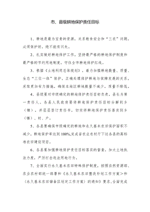 市、县级耕地保护责任目标.docx