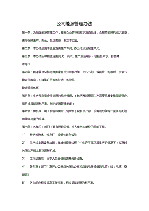 公司能源管理办法.docx