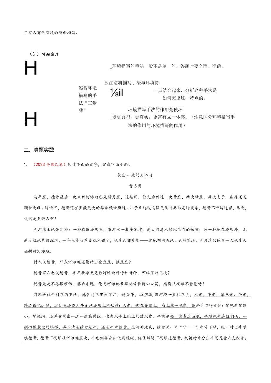 小说文本考题探究专题（通用） 11 环境类题（环境描写手法）（含答案）.docx_第2页