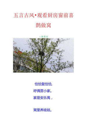 五言古风-观看厨房窗前喜鹊做窝.docx