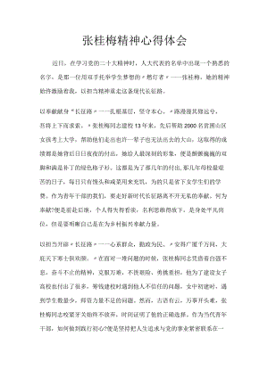 张桂梅精神心得体会.docx