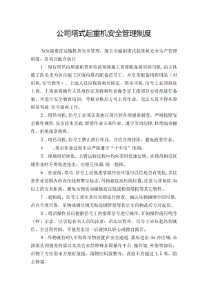 公司塔式起重机安全管理制度.docx