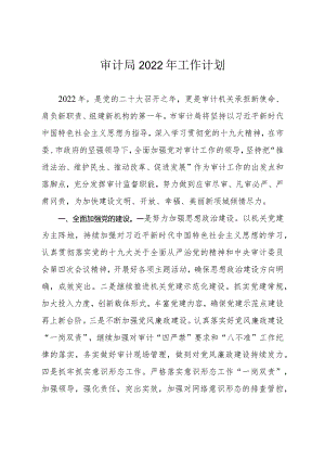 市审计局2022年工作要点.docx