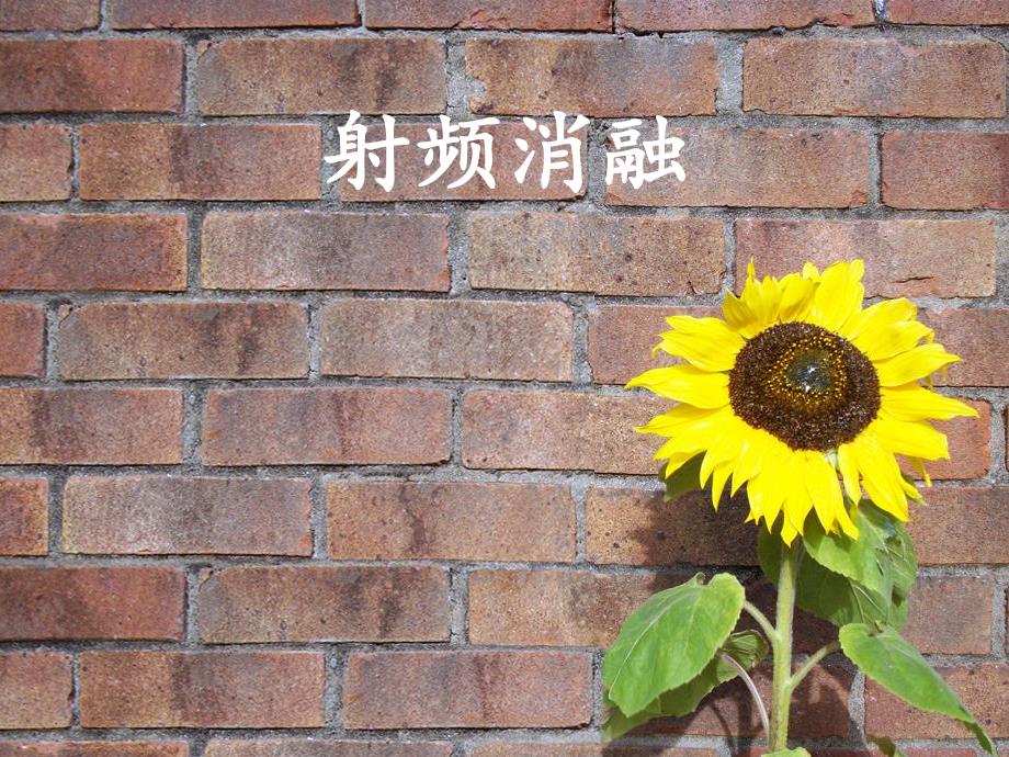 射频消融.ppt_第1页