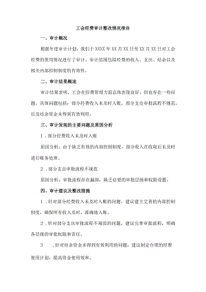 工会经费审计整改情况报告.docx