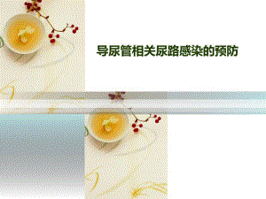 导尿管相关尿路感染的预防.ppt.ppt