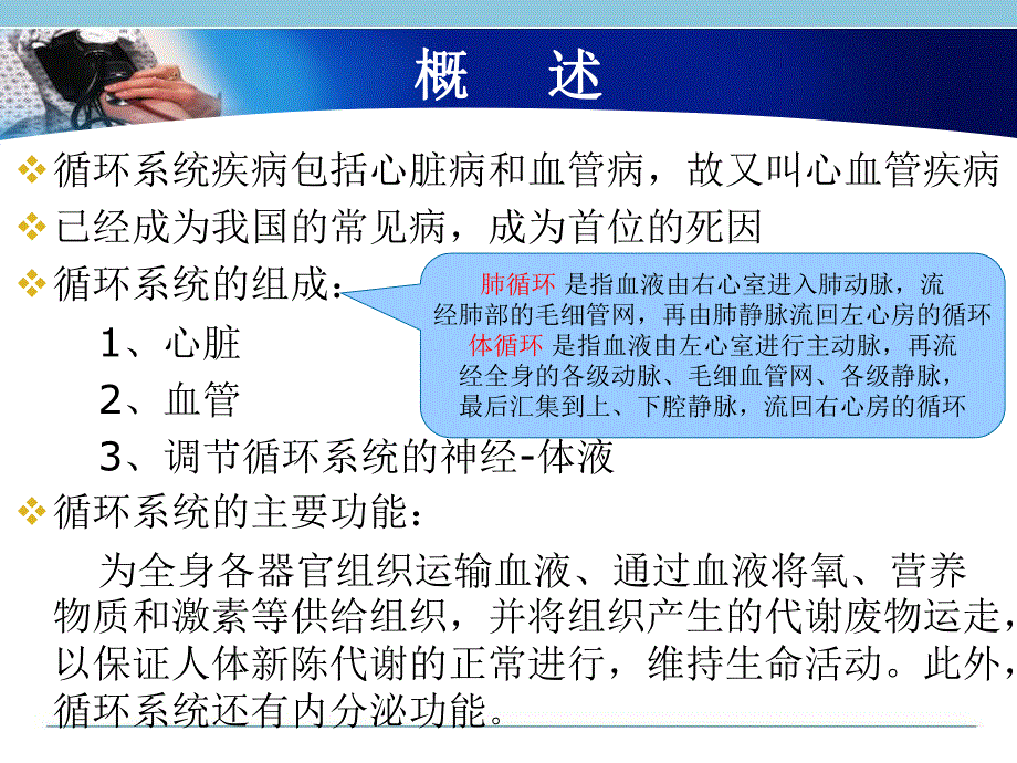 循环系统疾病的护理.ppt_第2页