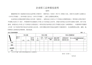 企业职工总体情况说明（提纲）.docx