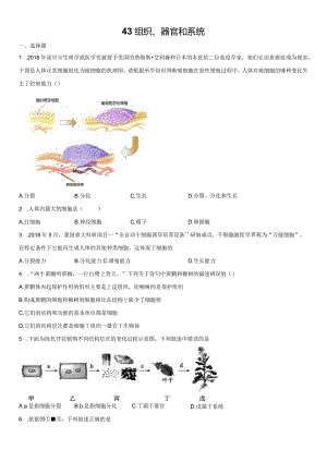 4.3组织、器官和系统 同步练习（含解析）.docx