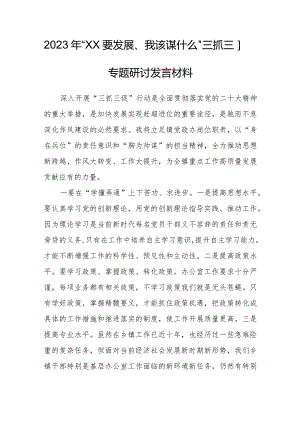 2023年“XX要发展、我该谋什么”三抓三促专题研讨发言.docx