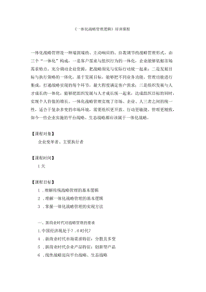《一体化战略管理逻辑》培训课程.docx