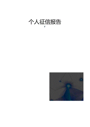 个人征信报告.docx