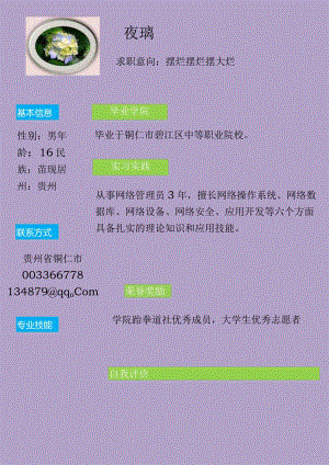 个人简历模板10.docx