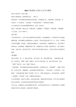2023年新课标1卷作文点评与解析.docx