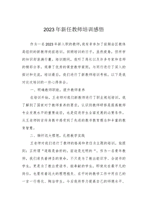 2023年新任教师培训感悟.docx