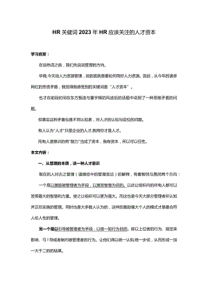 HR关键词2023年HR应该关注的人才资本.docx