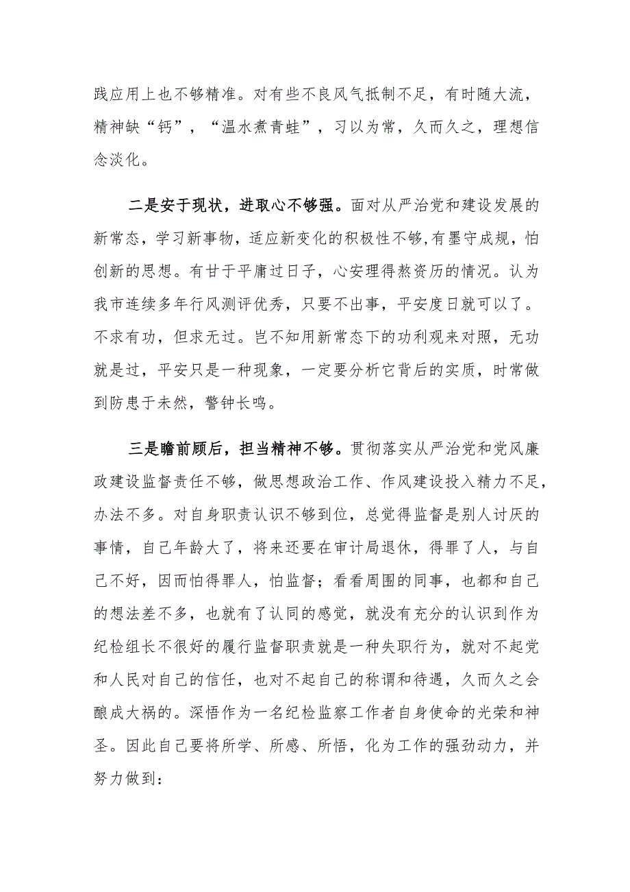2023年纪检监察干部教育整顿研讨发言心得体会材料一.docx_第2页
