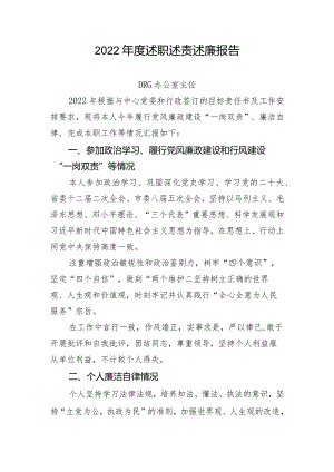2022年度述职述责述廉报告模板.docx