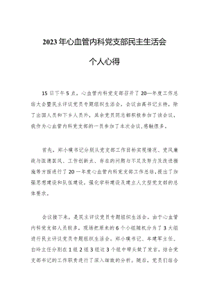 2023年心血管内科党支部民主生活会个人心得.docx