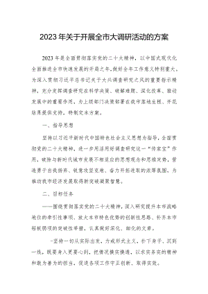 2023年关于开展全市大调研活动的方案.docx