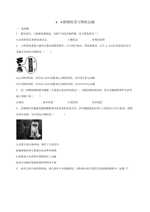 4.4植物的茎与物质运输 同步练习（含解析） .docx