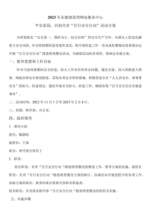 东骏湖景湾百日行动活动方案.docx