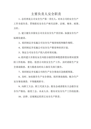 主要负责人安全职责.docx