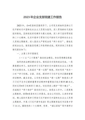 2023年企业支部党建工作报告.docx