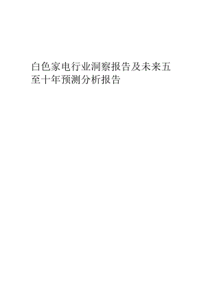 2022年白色家电行业洞察报告及未来五至十年预测分析报告.docx