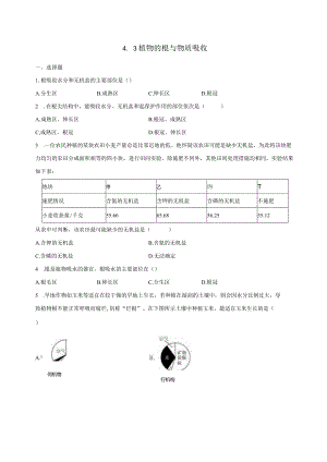 4.3植物的根与物质吸收 同步练习（含解析） .docx