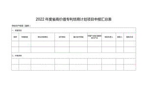 4-2022年度省高价值专利培育计划项目申报汇总表.docx