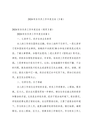 2024财务负责工作年度总结（3篇）.docx