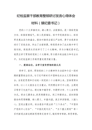 2023年纪检监察干部教育整顿研讨发言心得体会范文（镇纪委书记）.docx
